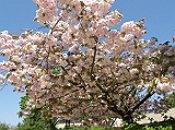 P4250090