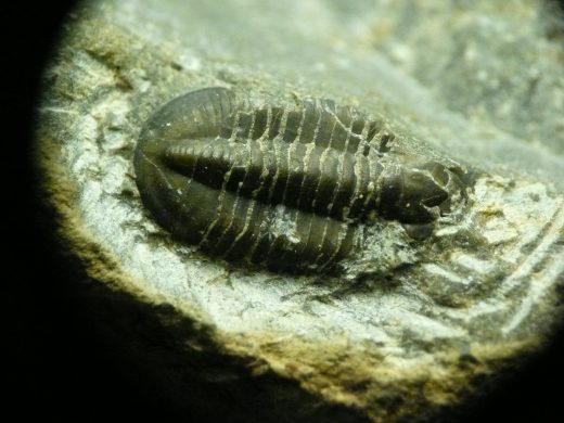 P1080250